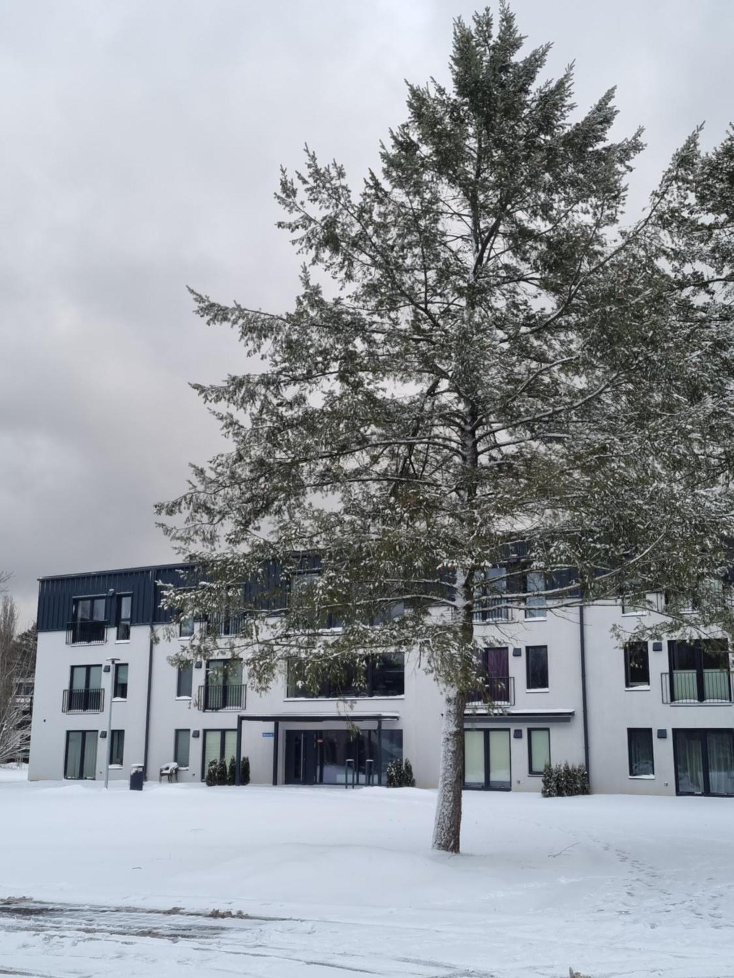 Appartement Albatross *